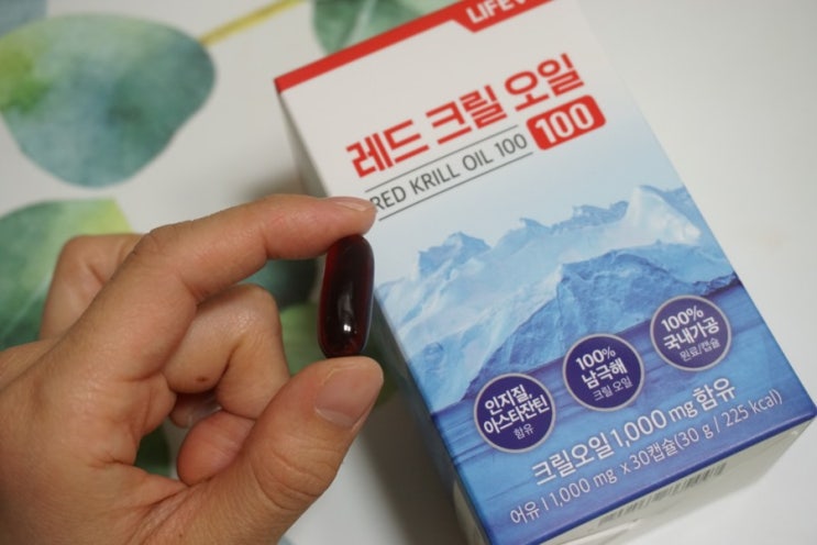  혈관건강 요즘 핫한! 레드크릴오일 추천 :: 라이프에버