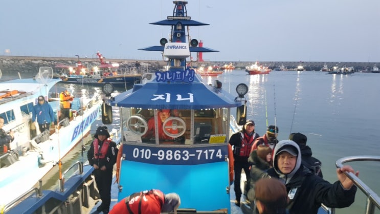  무창포 광어다운샷 선상낚시 지니피싱 즐거움 한가득