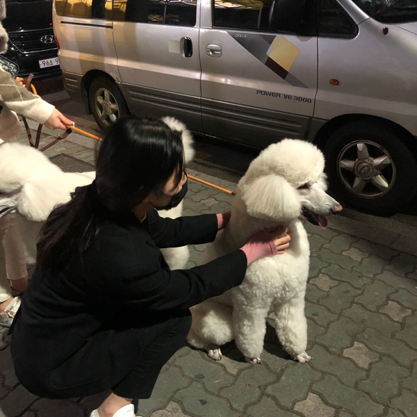  2019년 3월