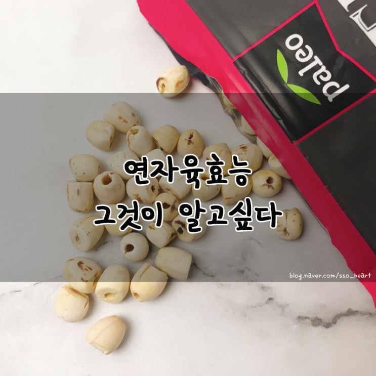  연자육 효능 알고 먹으니 더 좋네