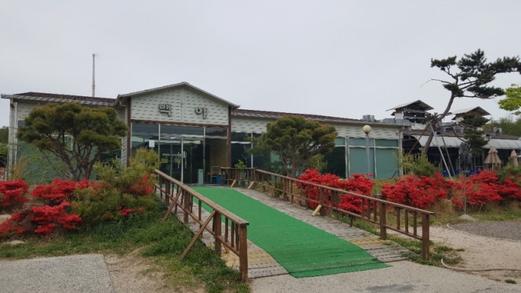  [미스터송청소&줄눈전문업체]서생백야참숯가마쌓인피로날리기//울산찜질방