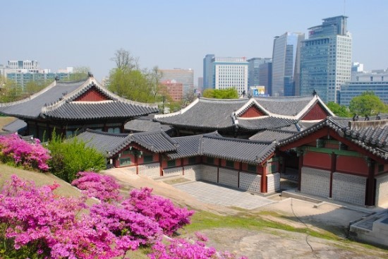  경희궁자이야~  경희궁에 같이 봄나들이 가자. 신축 랜드마크 경희궁자이가 오래된 광화문풍림스페이스본1단지 가격에 영향을 미칠까