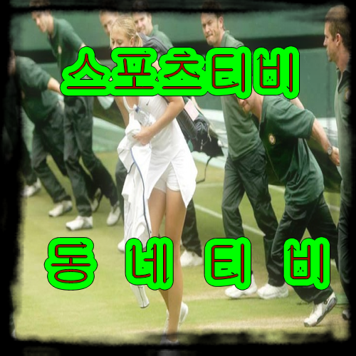  스포츠가 너무좋다고 스포츠중계를 보면 좋다