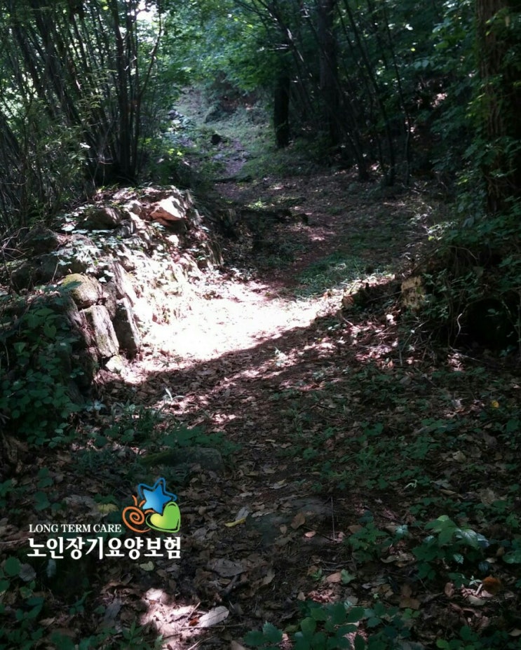  노인장기요양등급 받는 방법 [노인장기요양보험 혜택]