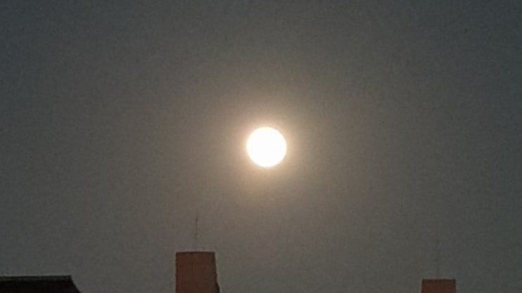  4월의 보름달 핑크문