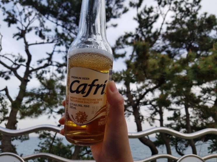  190416 - 울산 대왕암 공원 오토 캠핑장 / 울산캠핑장 / 대왕암캠핑장 / 대왕암일출 / 대왕암캠핑장일출 / 캠핑음식추천