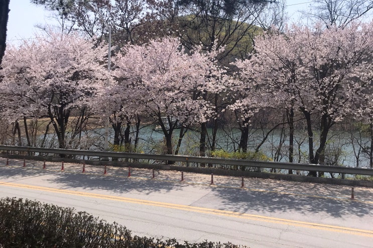  하나카드와 케이밴코리아가 함께하는 인천공항 픽업 서비스 이벤트!!