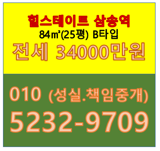  힐스테이트 삼송역 84(25평) B타입 전세있습니다