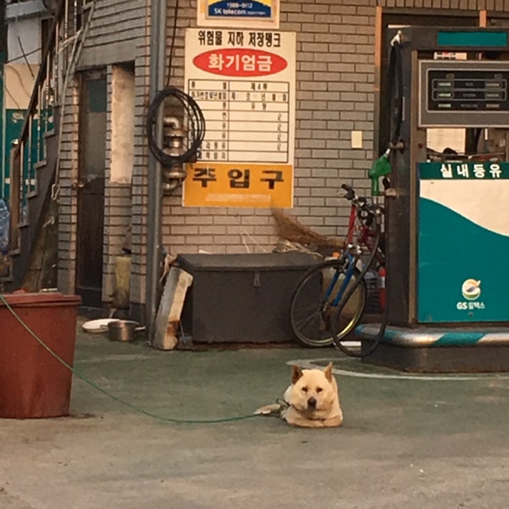 인생무상