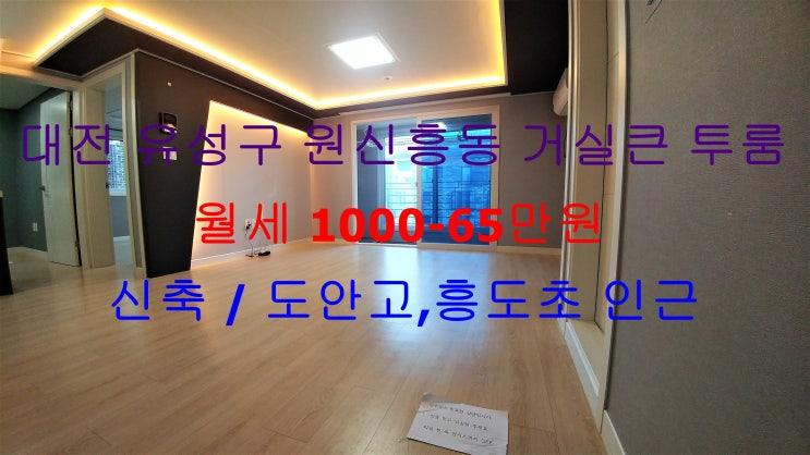 대전 유성구 원신흥동 신축 거실큰 투룸 월세 (도안고등학교 , 흥도초등학교 인근)