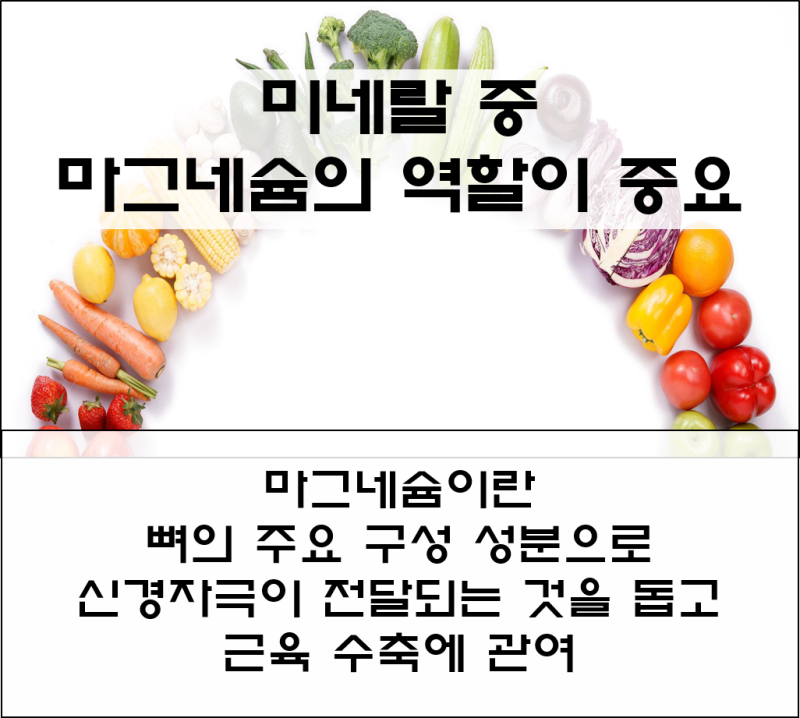 마그네슘 많은 음식, 마그네슘 부족증상 과 효능, 꼭 필요한 이유!!