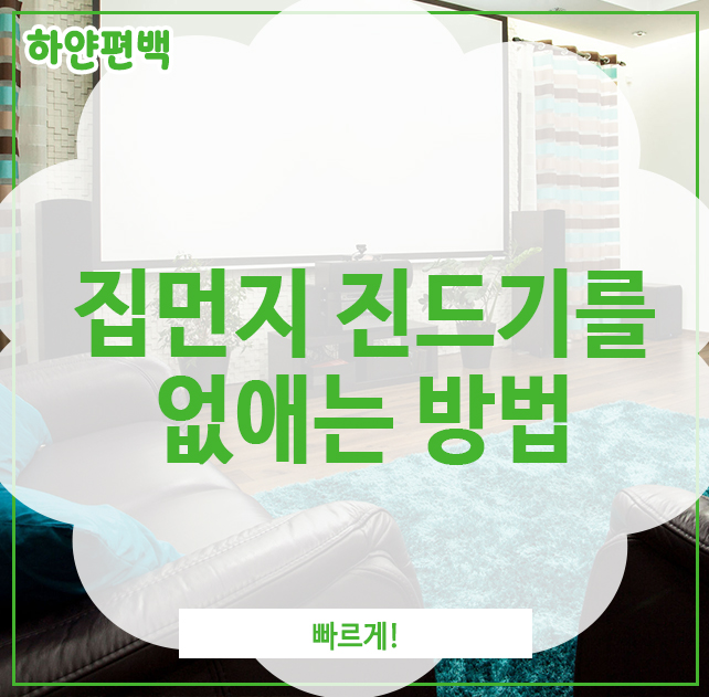  집먼지 진드기를 없애는 방법, 빠르게!