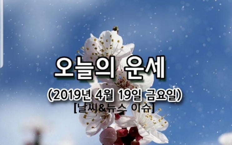  오늘의운세