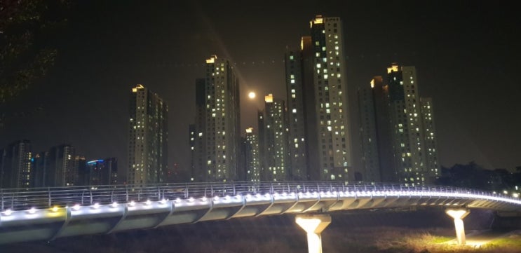  동산마을 핑크문