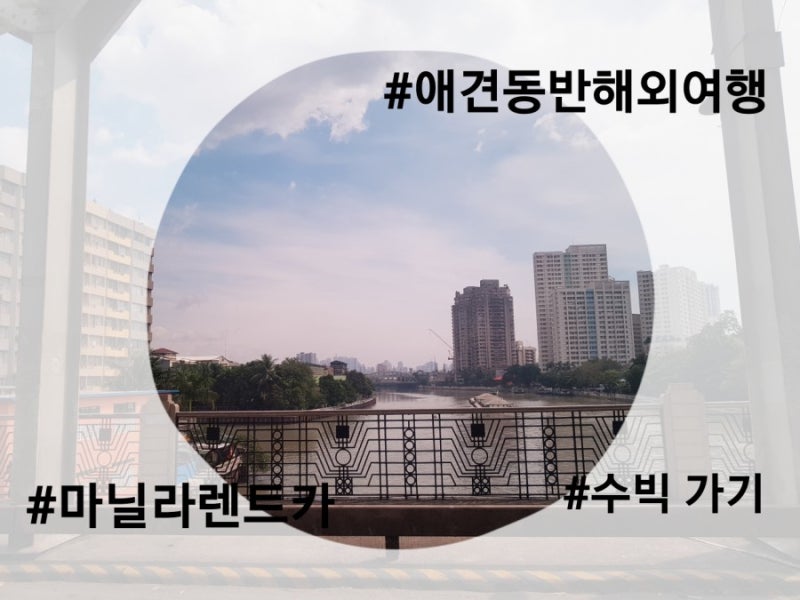 마닐라 렌트카 타고 수빅 가기 - 반려견동반 해외여행 : 네이버 블로그 마닐라 렌트카 타고 수빅 가기 - 반려견동반 해외여행 : 네이버 블로그