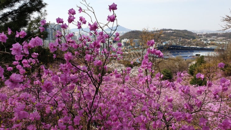  2019년 부활절감사예배 대표기도 - 항동중앙교회