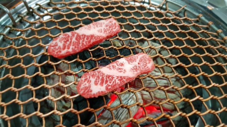  수원 애견동반식당 김남희 한우 왔어요.