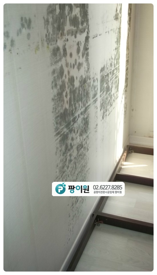  붙박이장 뒤 곰팡이제거 필수 입니다!
