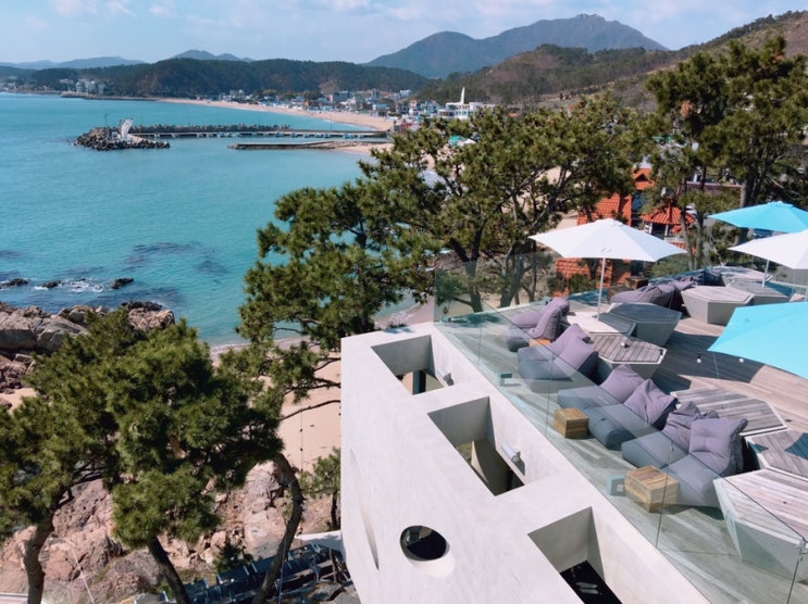  한국 휴가 2019 부산 3편 - 기장 웨이브온 / 해동 용궁사 / 힐튼 호텔 부산, 아난티 코브, 이너털 저니 책방, 삼대 돼지 갈비