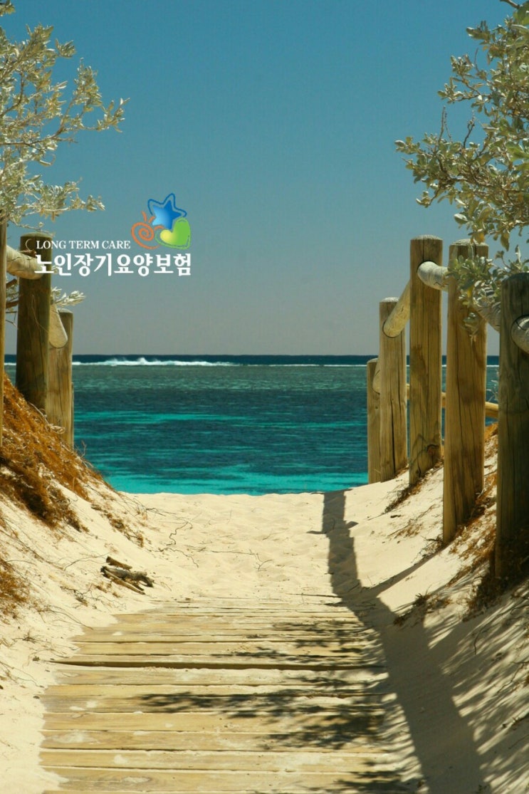  <자부담 입주요양> 장기요양등급 없이 입주요양보호사 이용방법