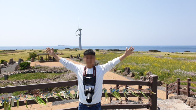  가파도 청보리축제 배시간 배예약 5월 제주도 가볼만한곳!