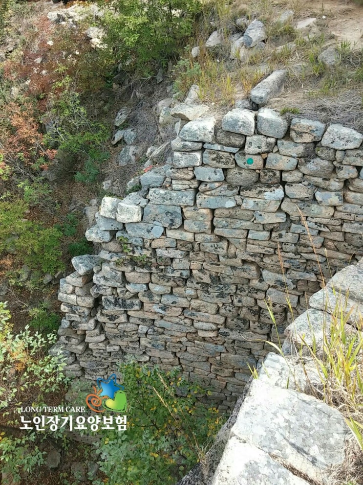  입주요양보호사 하는일 [노인장기요양보험 혜택]