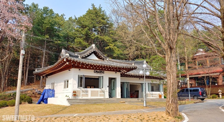  마지막 벚꽃구경(천안 북면위례 벚꽃길) / 천안북면카페추천 - 기와52(GIWA52)