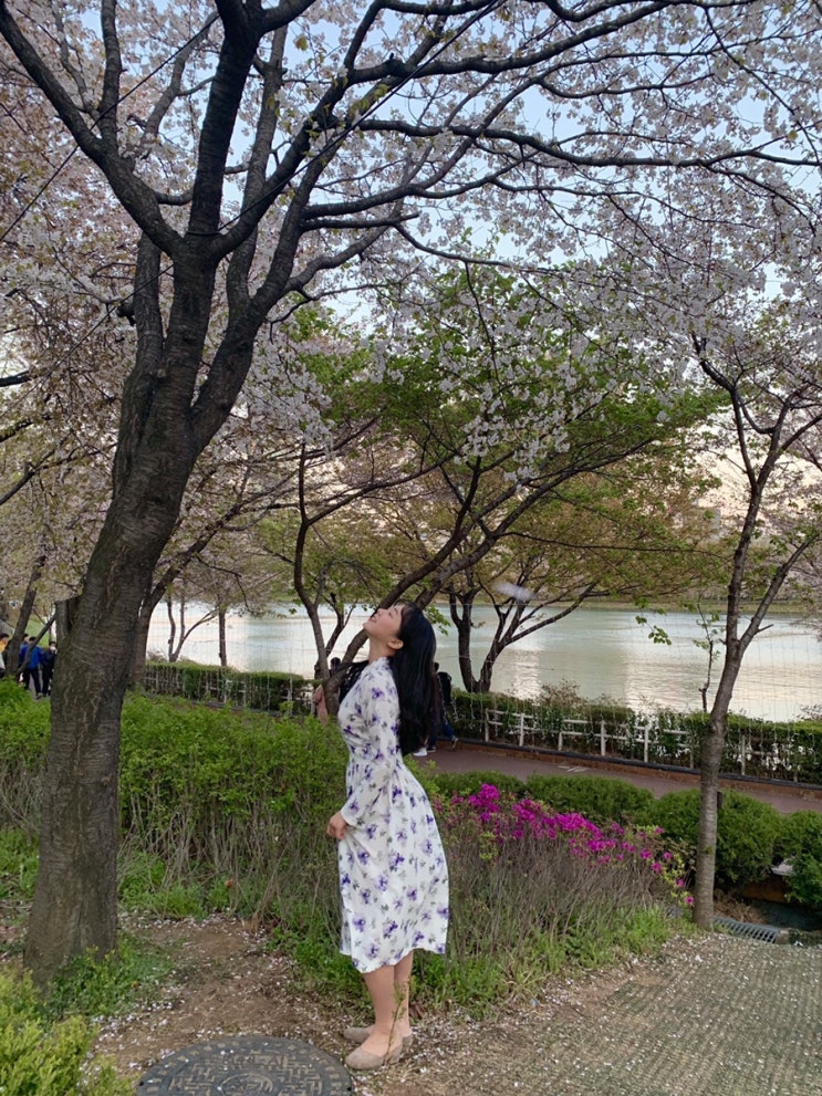  홍황철릭원피스 퍼플 : 후기/다나한복/생활한복/철릭원피스/여행한복/모던한복