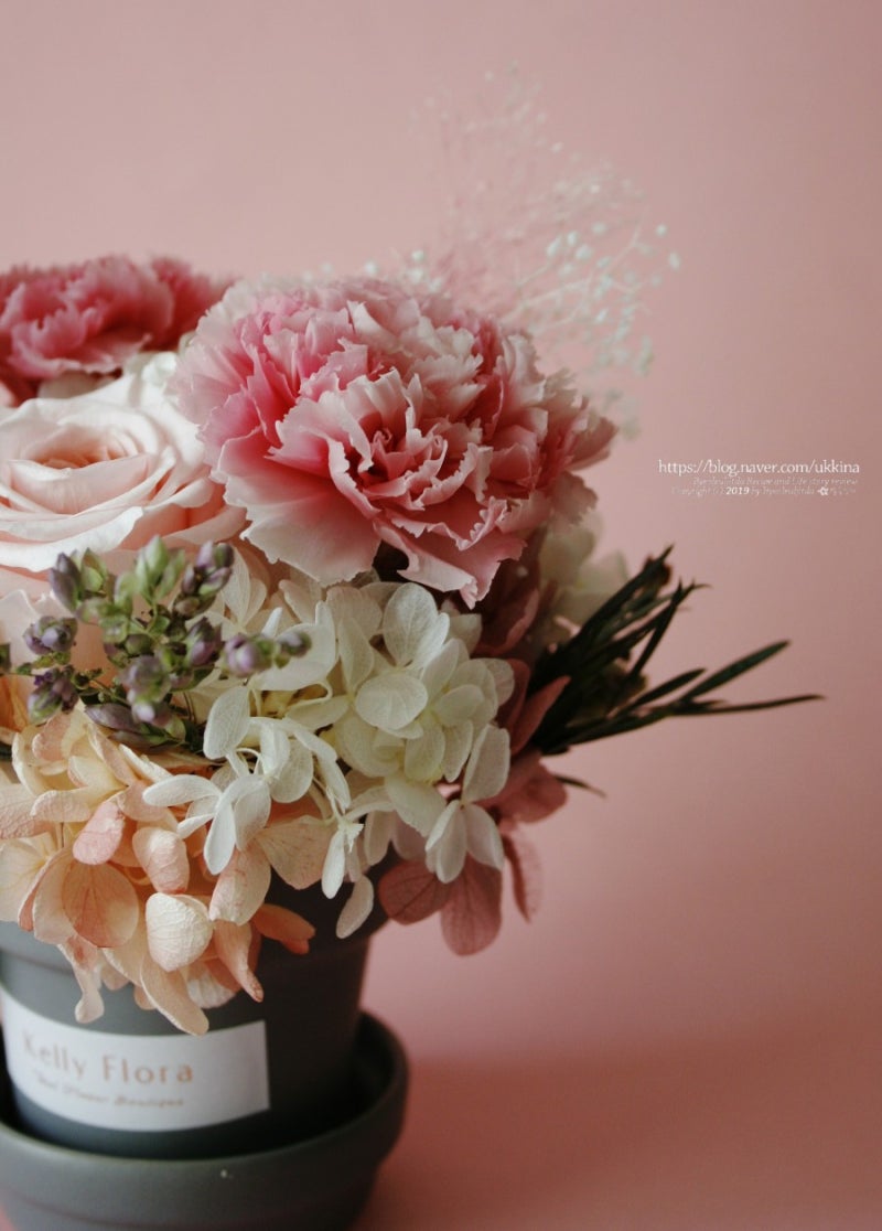 프리저브드 플라워||어버이날 꽃 카네이션 화기꽂이 드라이 플라워 파는곳||서산꽃집 켈리플로라 : 네이버 블로그