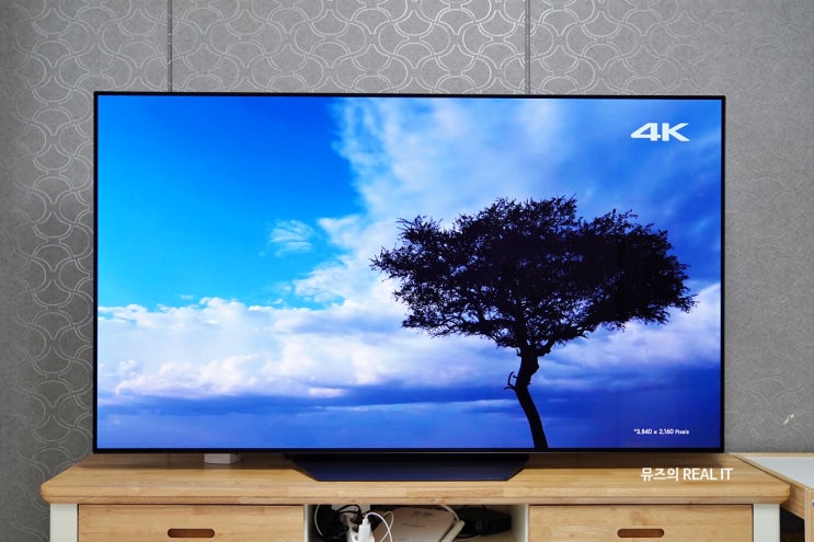  인공지능 LG 올레드 TV AI ThinQ 왜 좋을까? 강력하게 추천하는 2019 TV 신제품!
