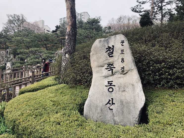  군포 철쭉축제 2019년에도 열린대용