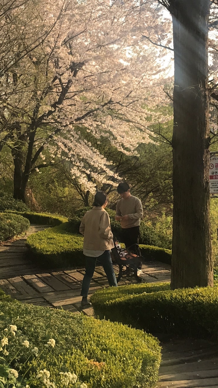  지금 내게 좋은 것을 생각해