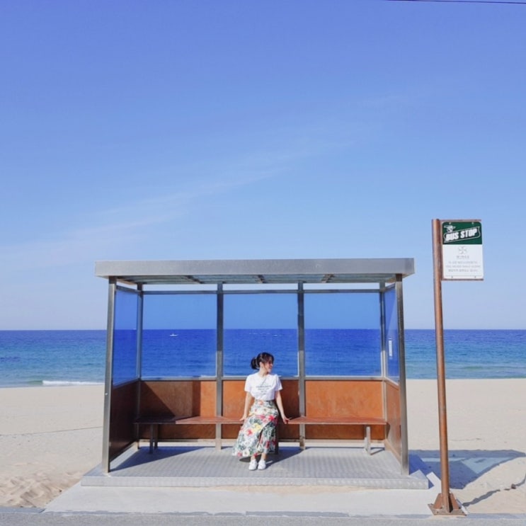  굿모닝 강릉 여행! 어제 날씨 눈부셨어요!