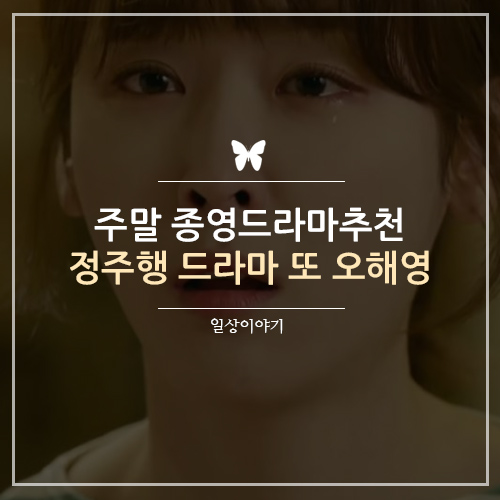  주말, 종영드라마추천 정주행하기 좋은 드라마 또오해영