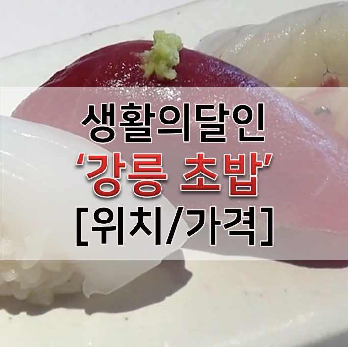  생활의달인 강릉초밥 스시코우 가격 은둔식달 맛집 위치
