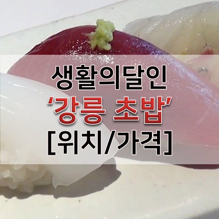 생활의달인 강릉초밥 스시코우 가격 은둔식달 맛집 위치