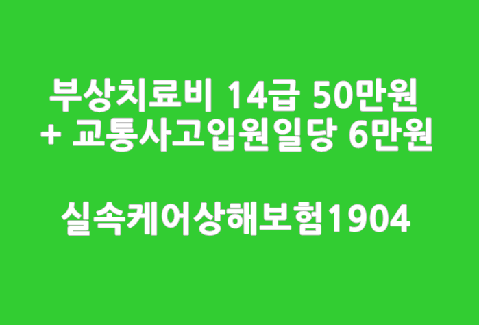  자동차사고부상치료비 14급 50만원+교통상해입원비 일당 6만원_롯데실속케어상해보험1904