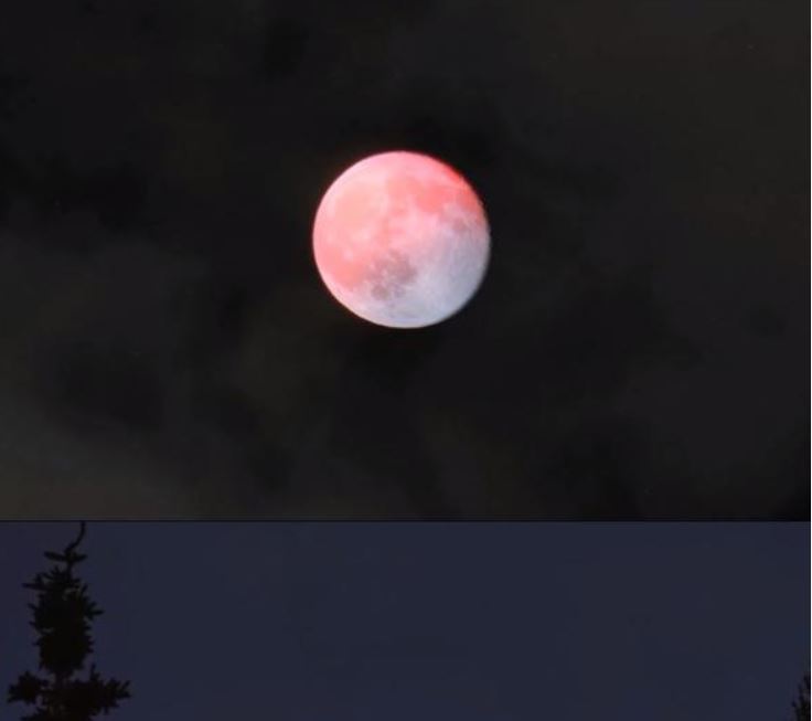  핑크문? 처음듣는 달일세~~
