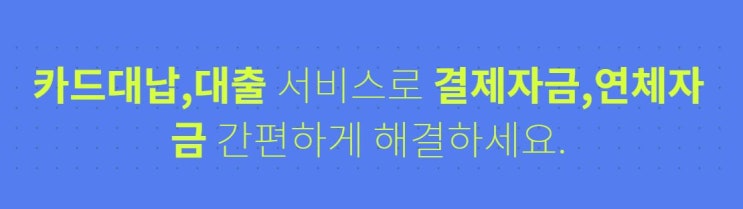  카드대납으로 카드연체를 막는방법_론캐쉬