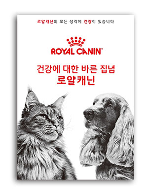  ‘건강에 대한 바른 집념’ 캠페인