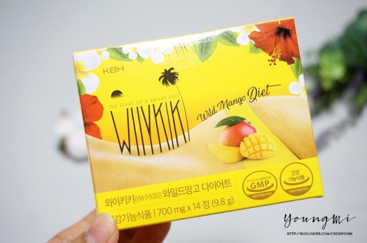  와이키키 와일드망고 다이어트 식사 전 한알이면 끝 