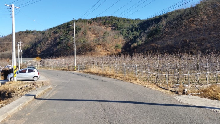  NO.6 영천부동산 영천 화남면 554평