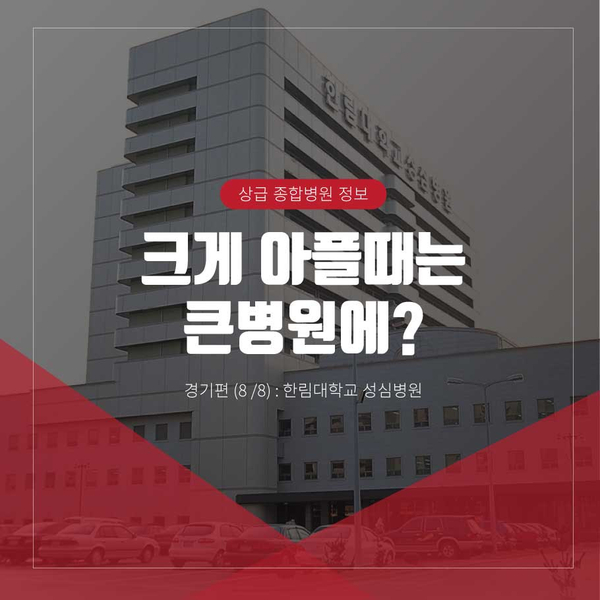  [상급종합병원정보]크게 아플 때는 큰 병원에? :경기 편(8 / 8): 한림대학교 성심병원