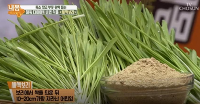  새싹보리분말 + 장청소 다이어트 한번에 하는 방법#