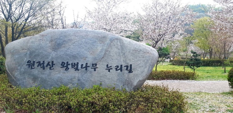  원적산공원의 사월 봄풍경