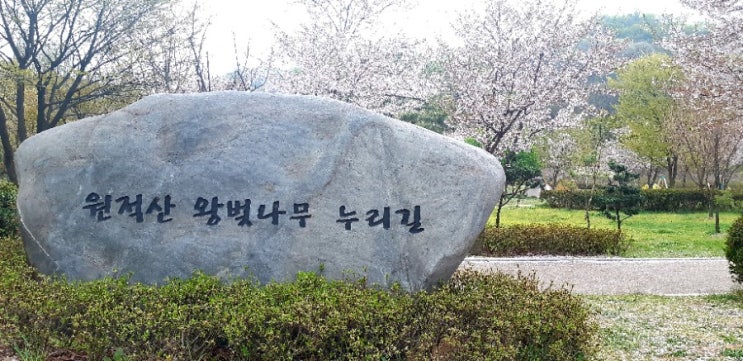 원적산공원의 사월 봄풍경