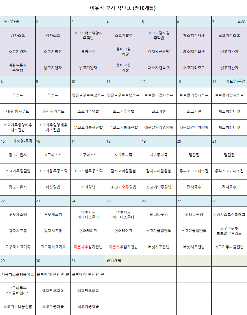 10개월 아기후기이유식량스케줄식단표w간식특식