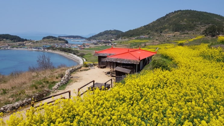 청산도 靑山島
