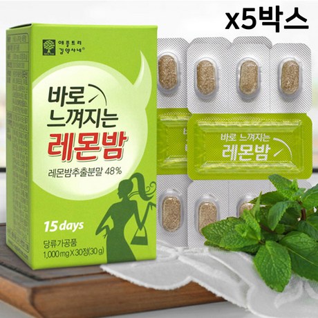  쿠팡 애플트리김약사네 레몬밤정 레몬밤추출분말 레몬밤캡슐 레몬밤추출물 레몬밤농축분말 레몬밤차 1000mg 5box  (75,000원)