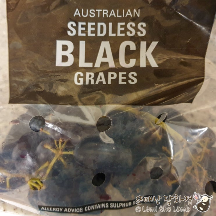 가지포도 (블랙 사파이어 포도, sweet sapphire grapes)